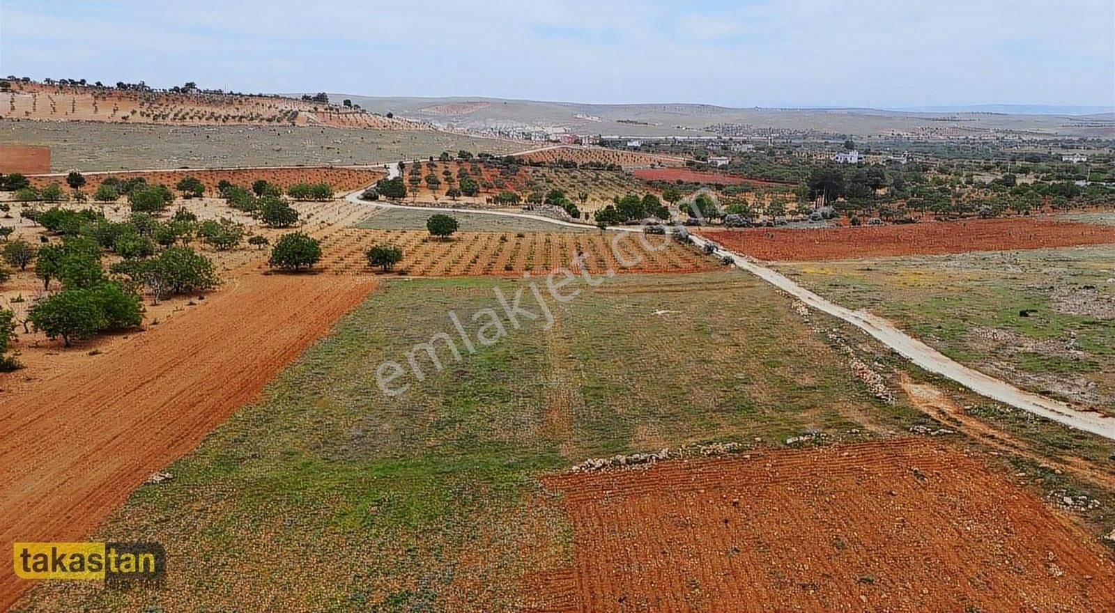 Suboğazında Yola Sıfır Tek Tapu Fırsat Arazi!
