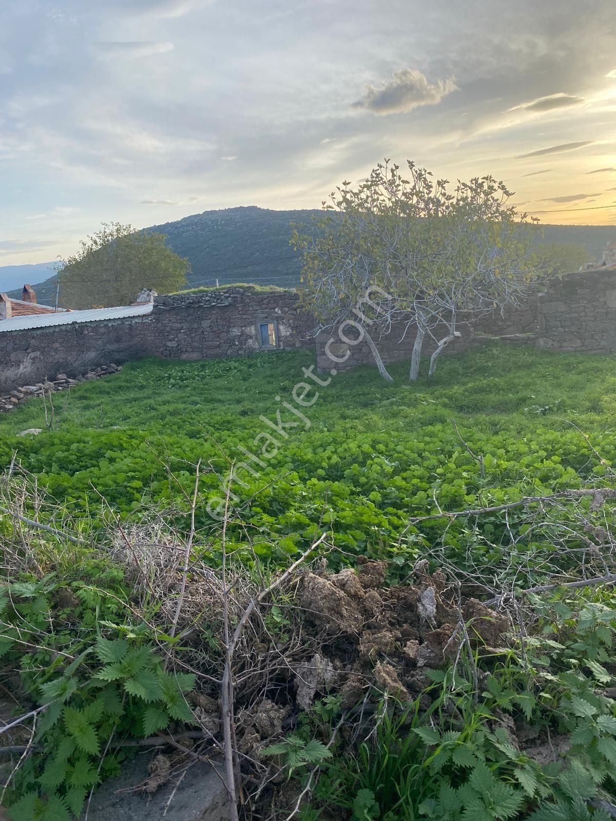 İzmir Aliağa Ekka Emlak Tan Kalabak Köyünde 776m2 Arsa - Görsel 17