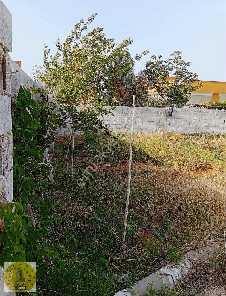 Realite Tapudan Akçakale De Müstakil Ev