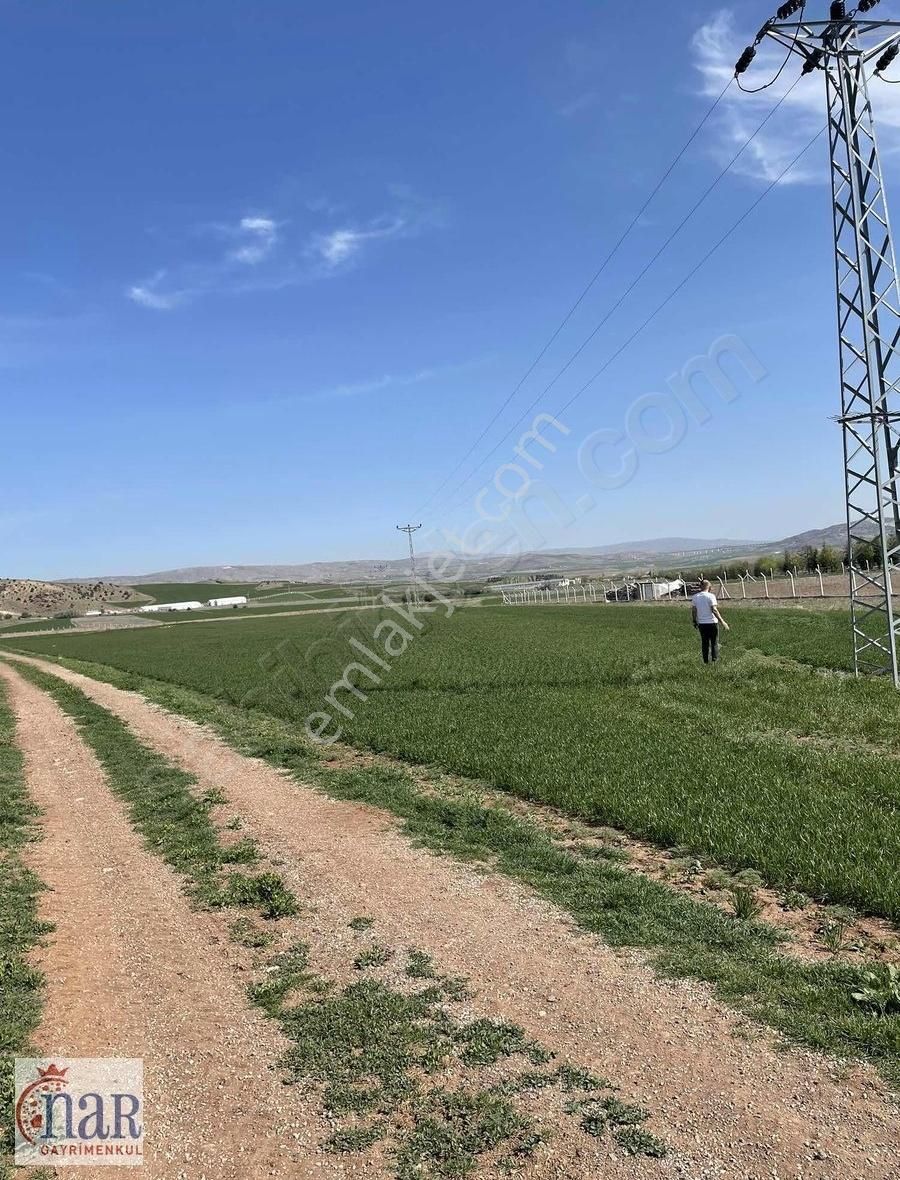 Kuşçuali Mahallesinin En Gözde Tarlası