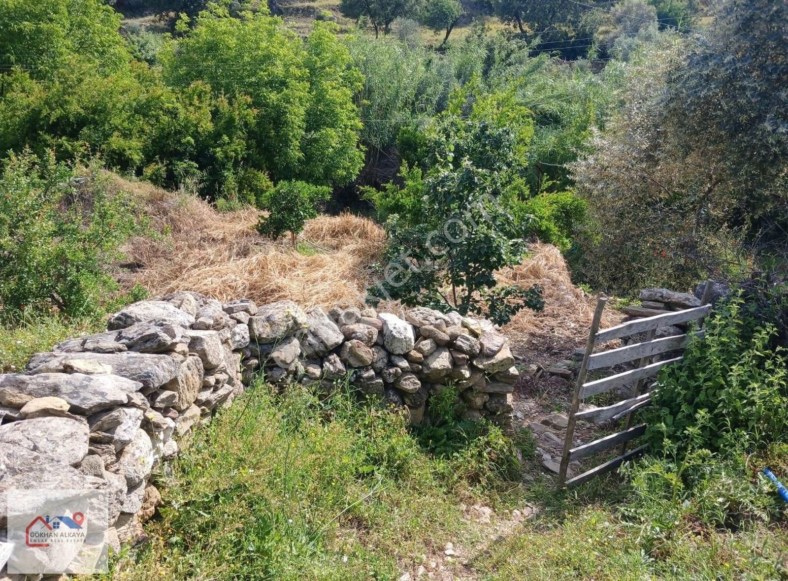 Muğla Milas Alaçam Köyü Satılık Bahçe 240 M² Gökhan Alkaya'dan