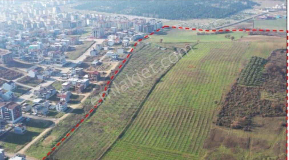 İmar Dibi 305 M2 Hisse