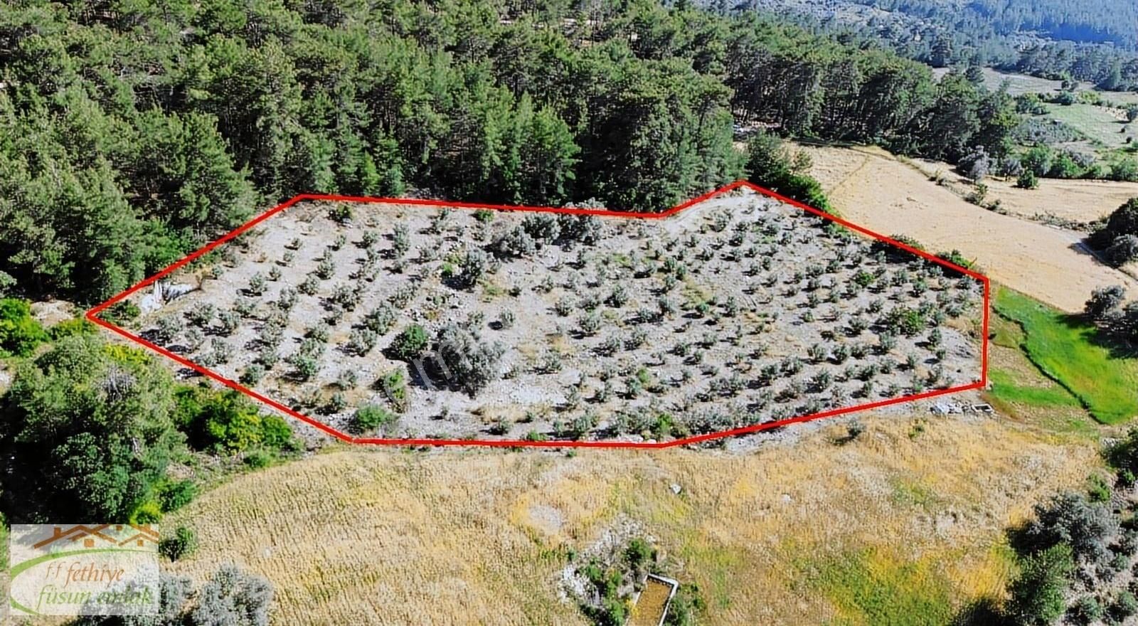 Füsun Emlak'tan Acil Satılık Müstakil Tapu 9.200 M2 Arazi