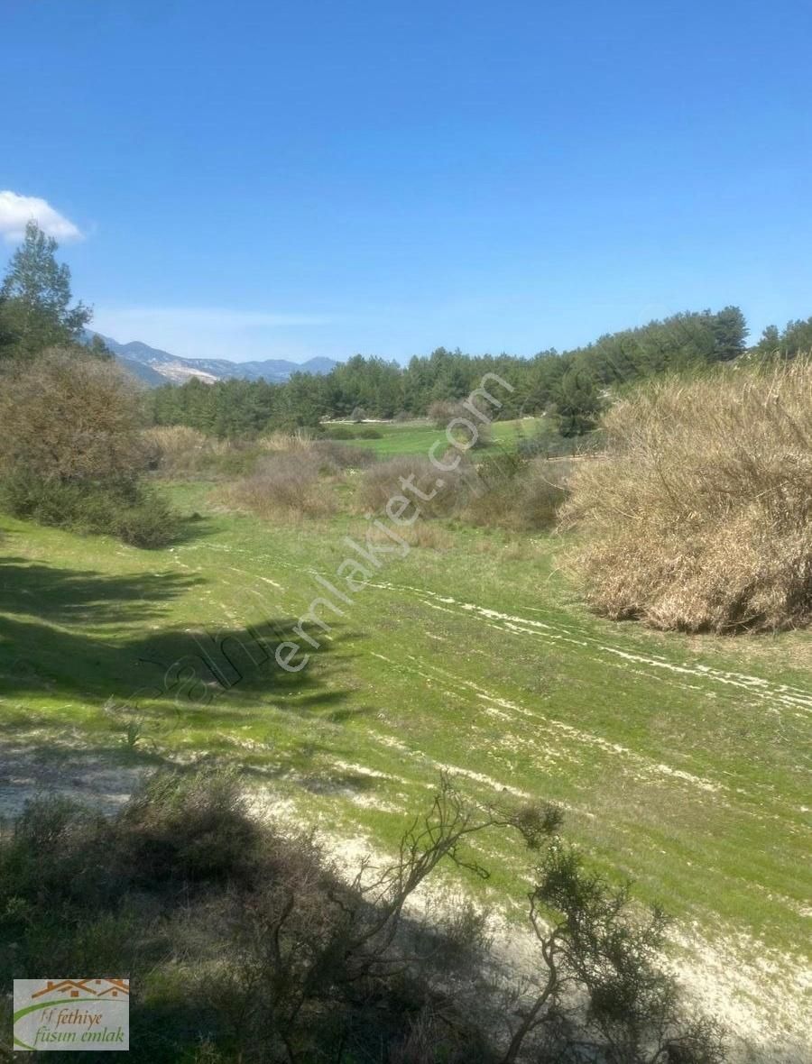 Füsun Emlak'tan Eşen'de 3.520 M2 Müstakil Arazi Satılıktır