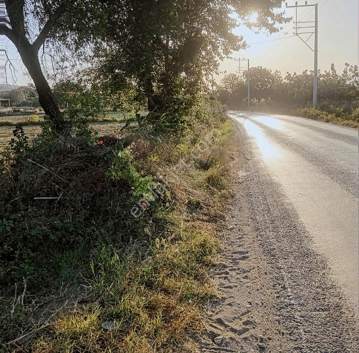 Hobi Bahçesi
