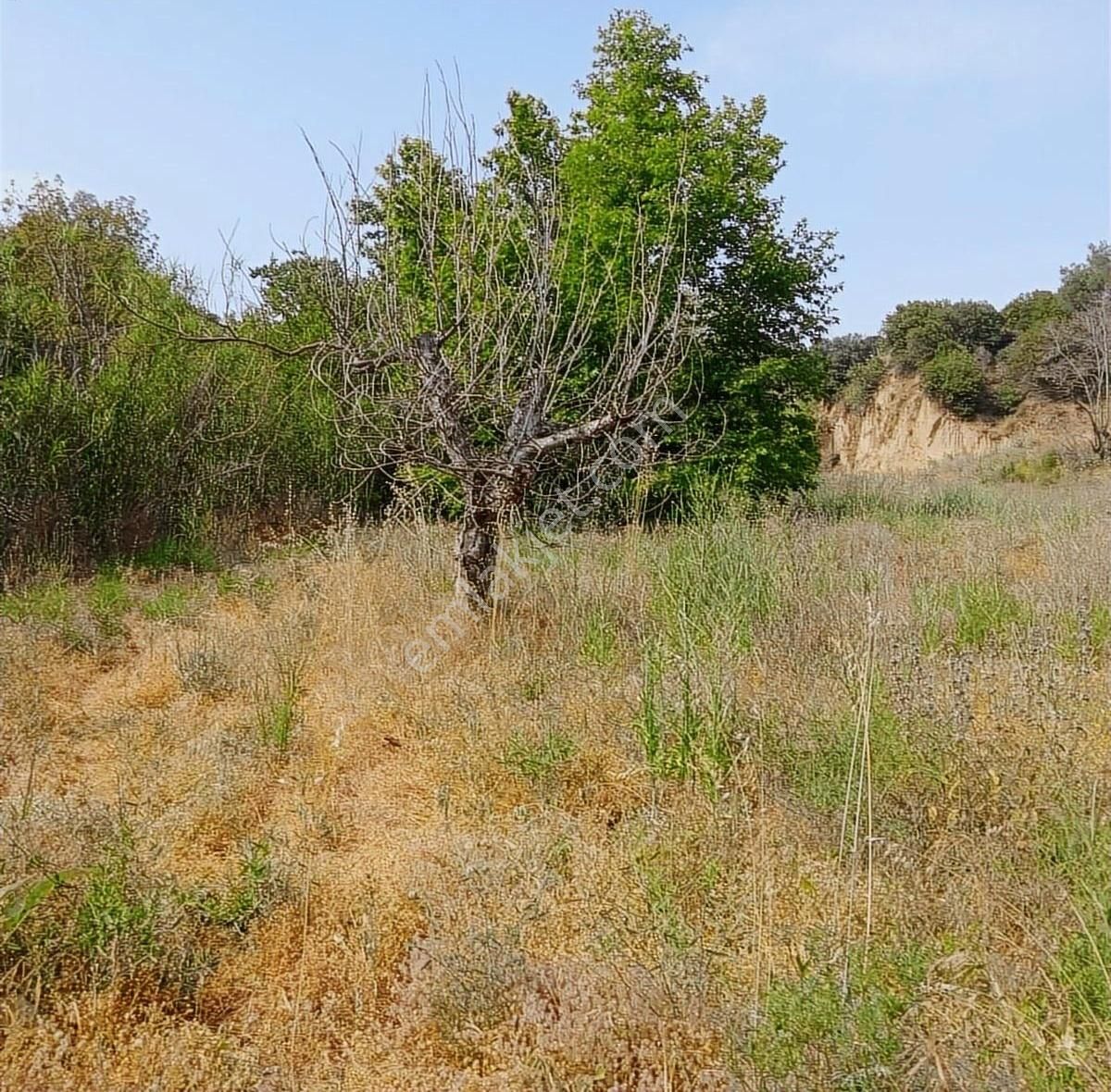 Satılık Tarla