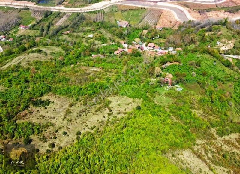 Global'den Amasra'da Sahillere Yakın Satılık Arsa(553 M2)