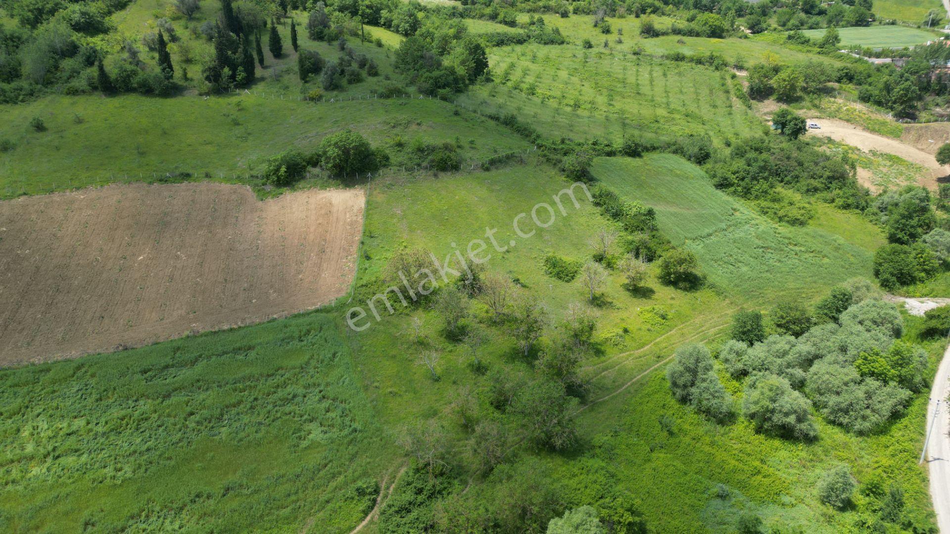 Kocaeli Karamürsel Yalakdere Mahallesi Satılık Tarla 6678 M2 - Görsel 3