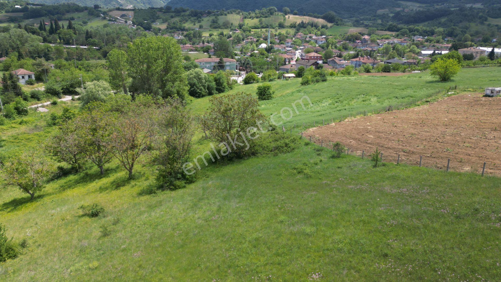 Kocaeli Karamürsel Yalakdere Mahallesi Satılık Tarla 6678 M2 - Görsel 9