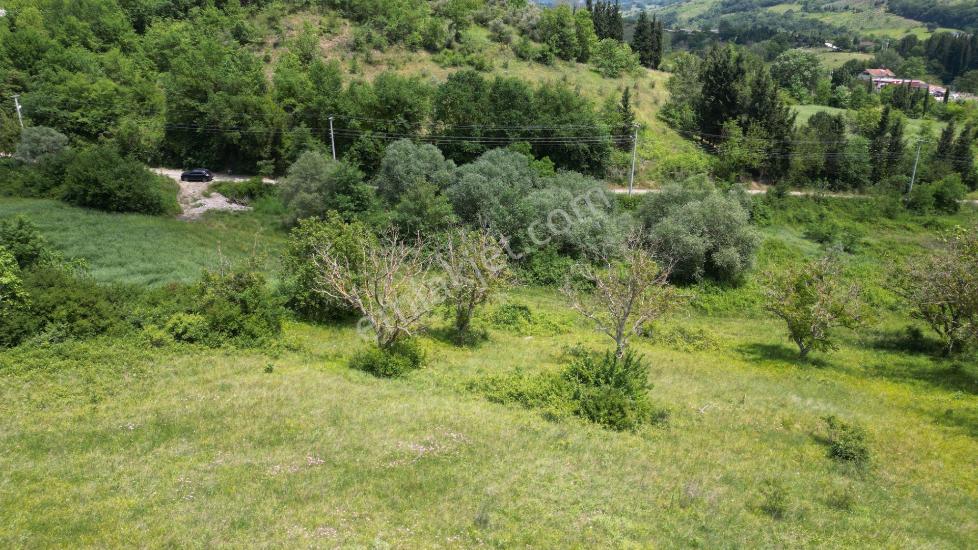Kocaeli Karamürsel Yalakdere Mahallesi Satılık Tarla 6678 M2 - Görsel 11
