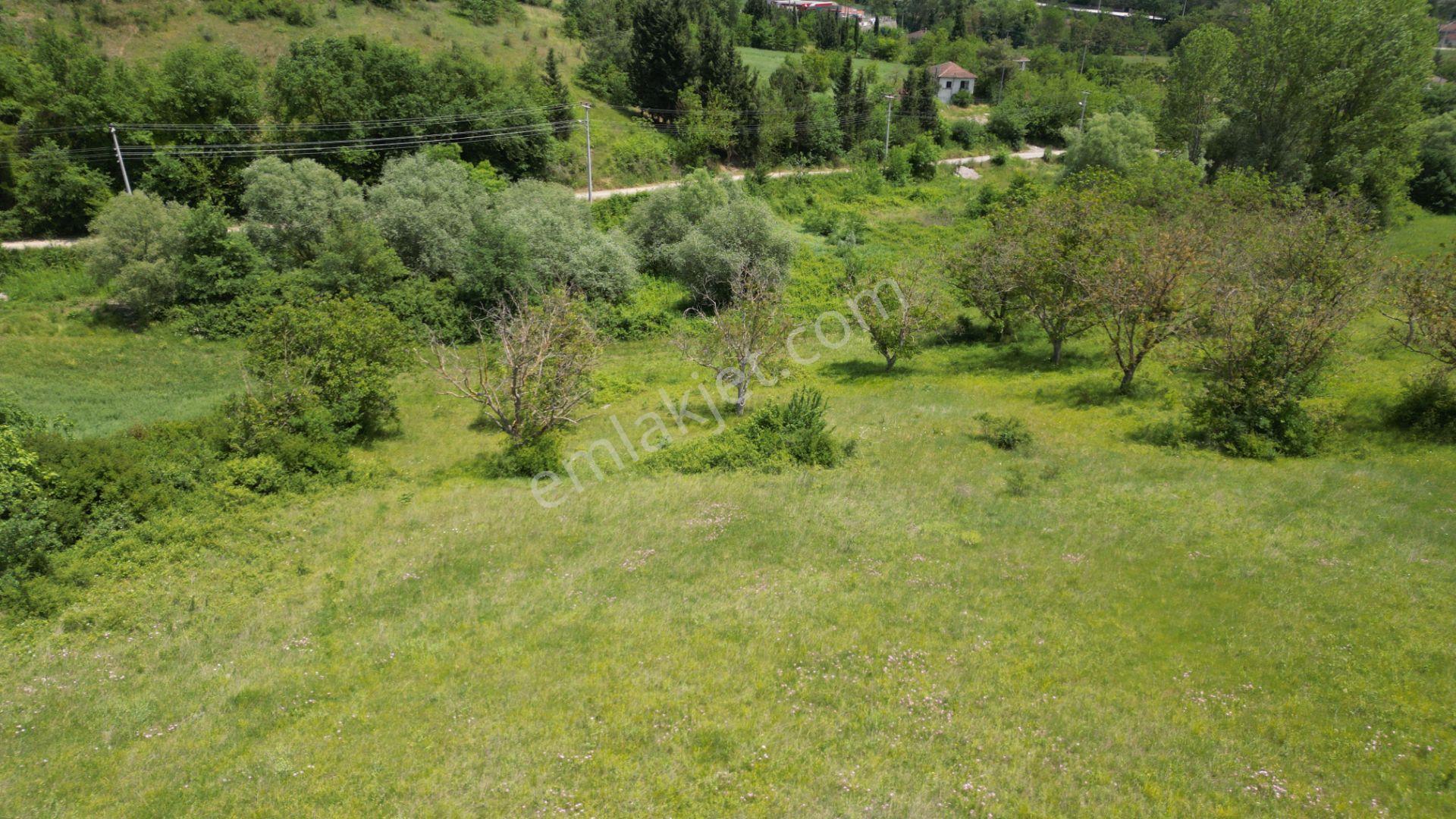 Kocaeli Karamürsel Yalakdere Mahallesi Satılık Tarla 6678 M2 - Görsel 8