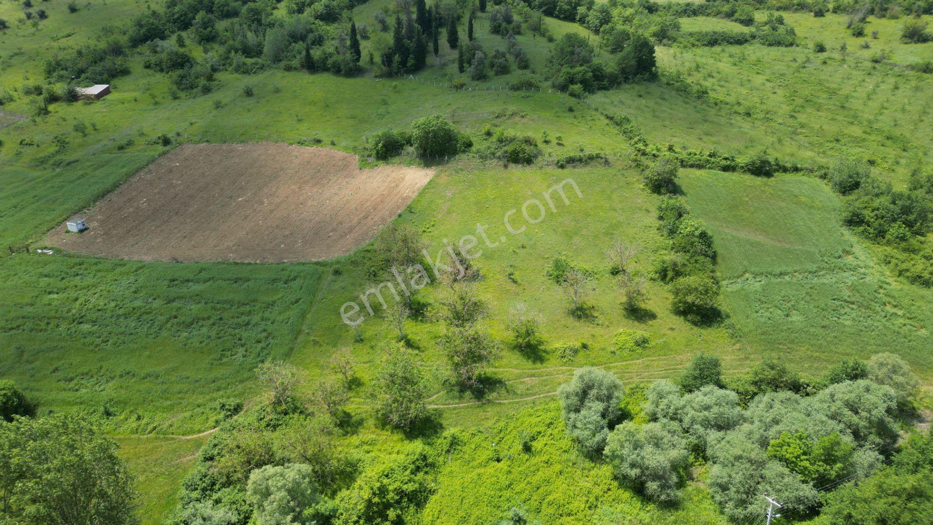 Kocaeli Karamürsel Yalakdere Mahallesi Satılık Tarla 6678 M2 - Görsel 2