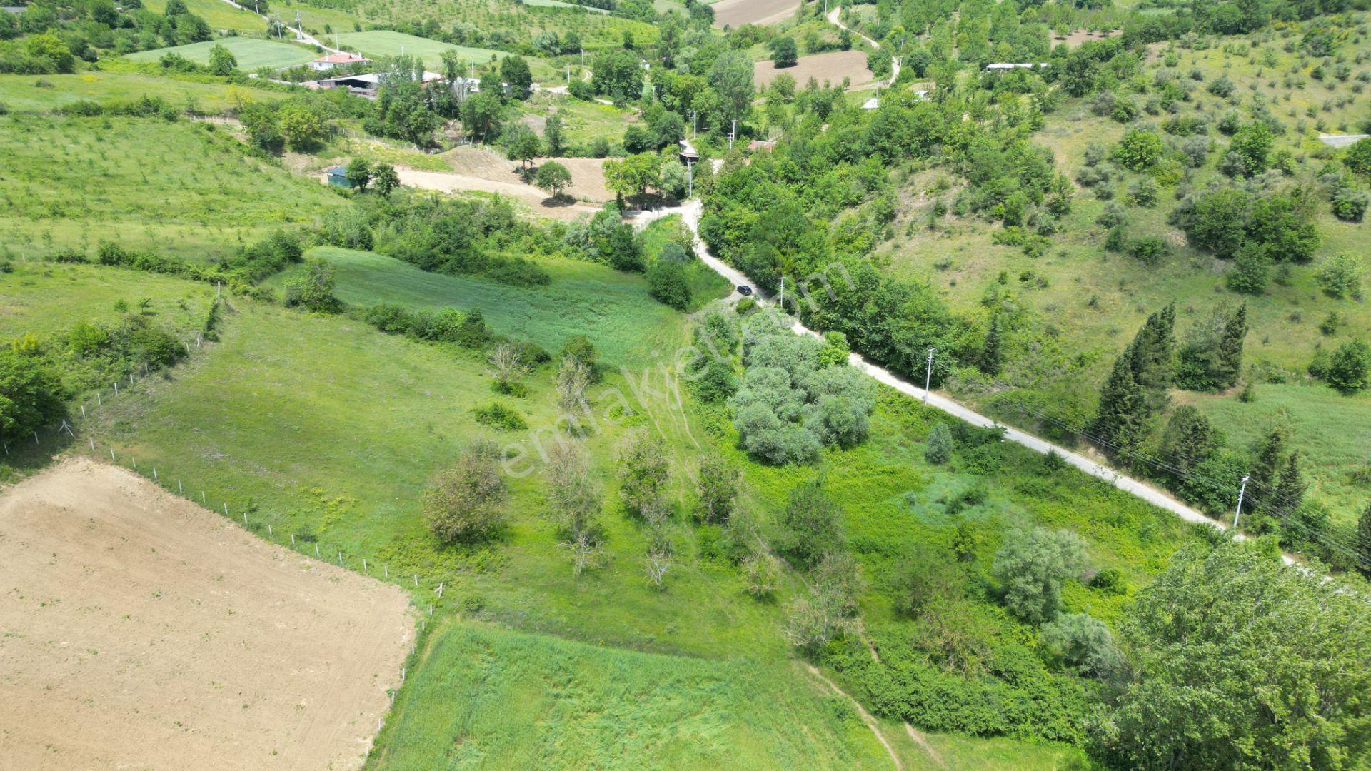 Kocaeli Karamürsel Yalakdere Mahallesi Satılık Tarla 6678 M2 - Görsel 4