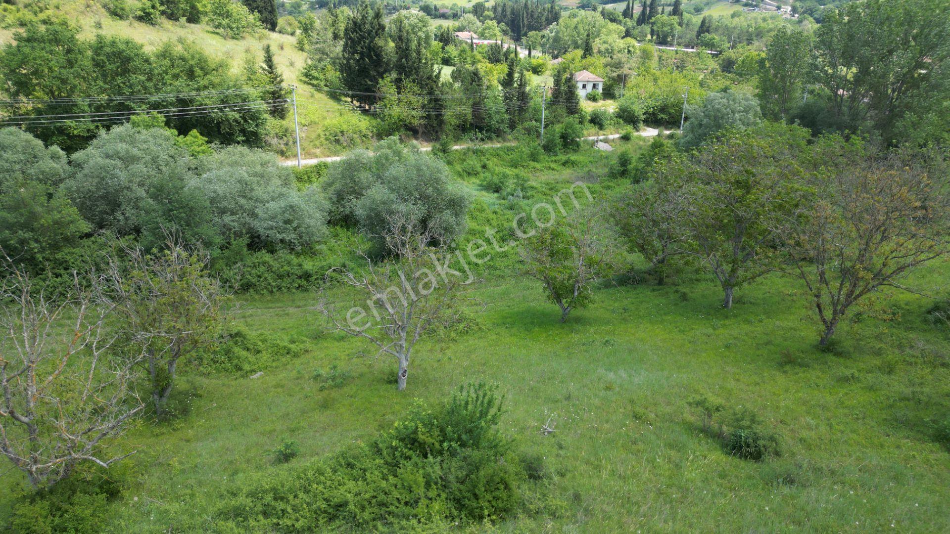 Kocaeli Karamürsel Yalakdere Mahallesi Satılık Tarla 6678 M2 - Görsel 13