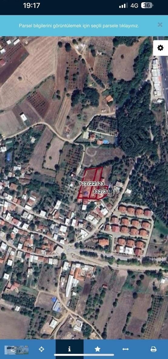 Kestel Ümitalanda Satılık Köy İçi Arsa