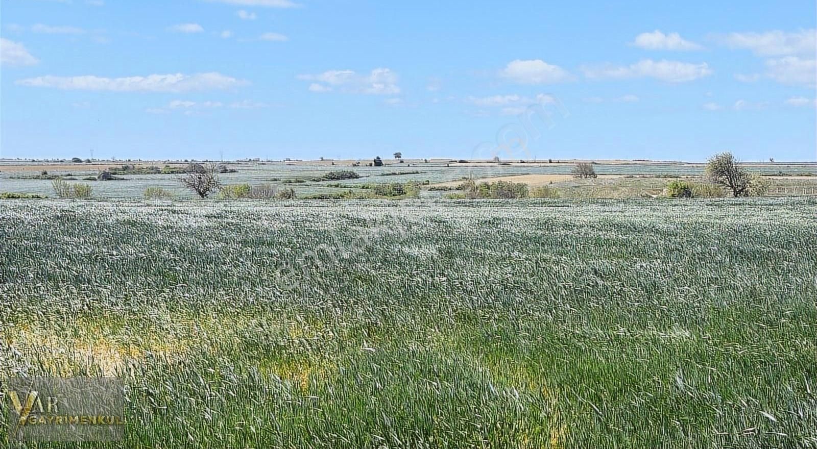 Tekirdağ Kapaklı Karağaç 6.800m2 Tek Tapu Tarla