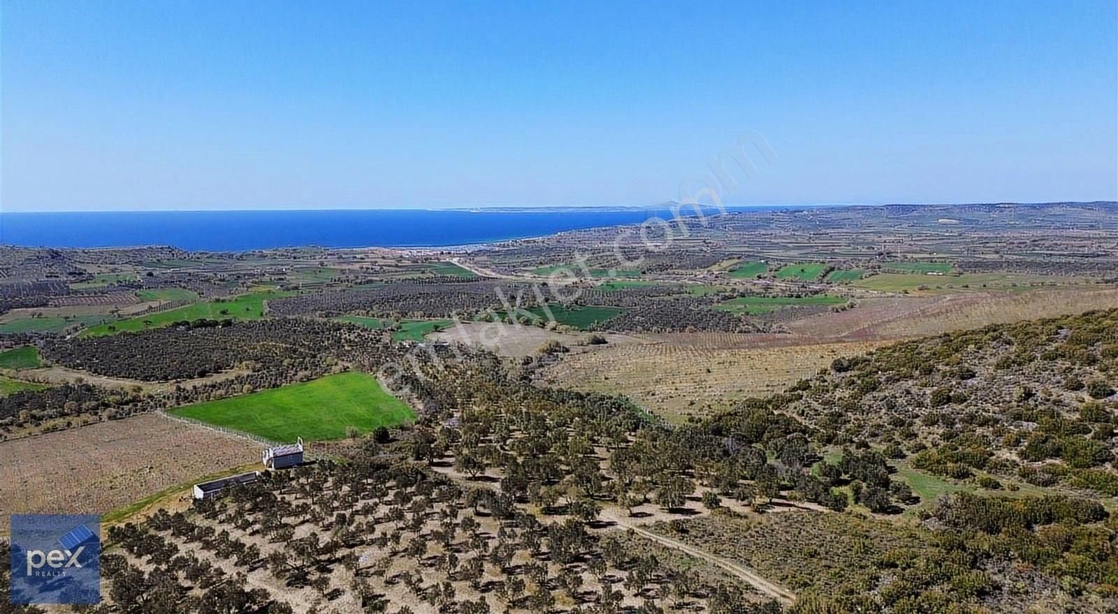 Çanakkale Ezine'de Harika Deniz Manzaralı Satılık Zeytinlik Arsa
