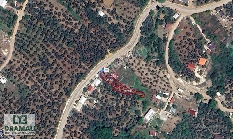 Mudanya Çepni'de 518 M² İki Parsel Satılık Zeytinlik