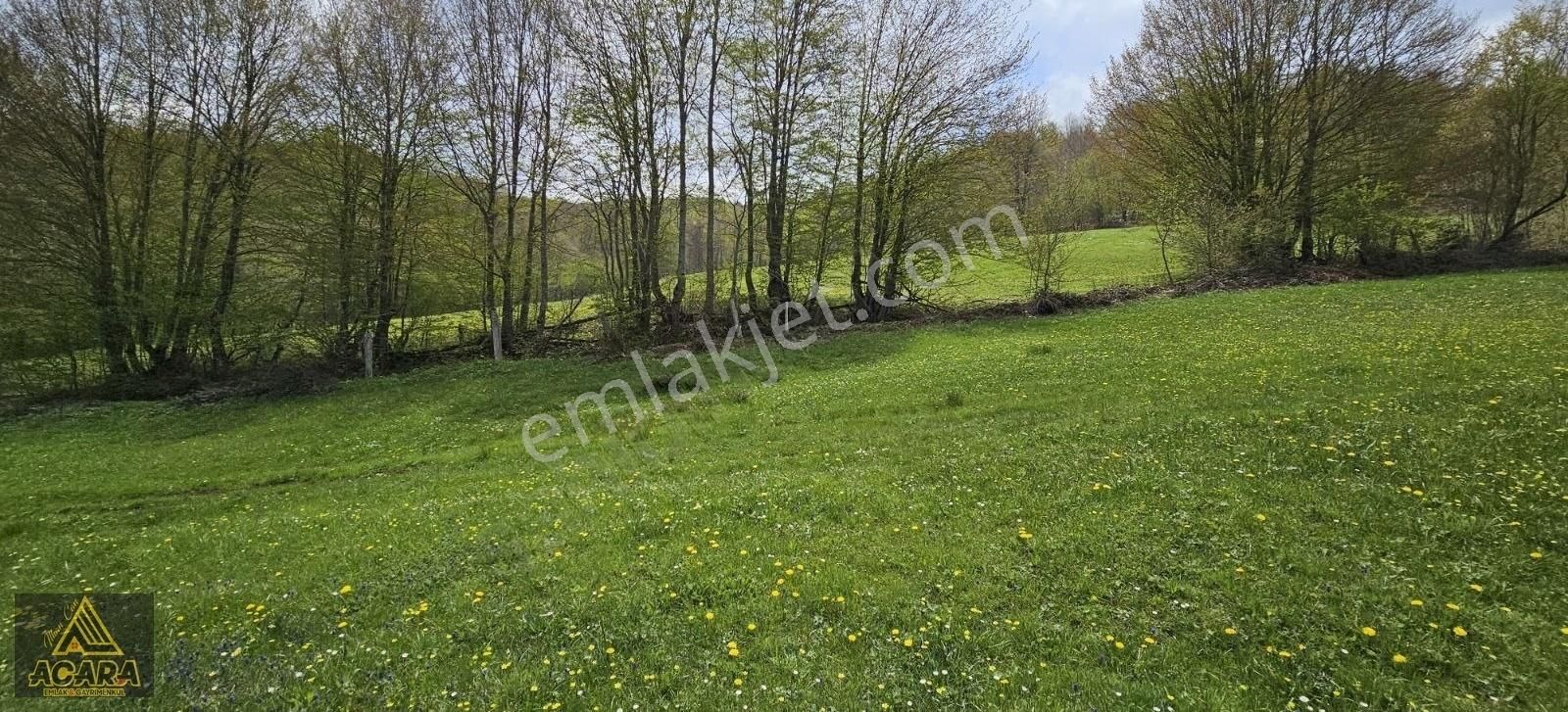 Acara'dan / İznik Elmalı'da 2.140 M² Dere Kenarı Harika Tarla - Görsel 32