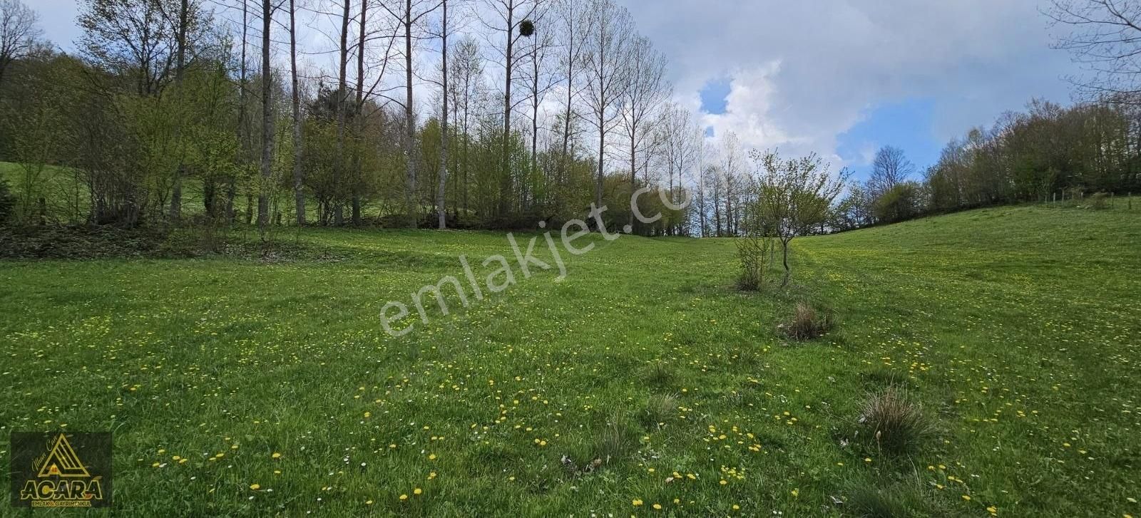 Acara'dan / İznik Elmalı'da 2.140 M² Dere Kenarı Harika Tarla - Görsel 8