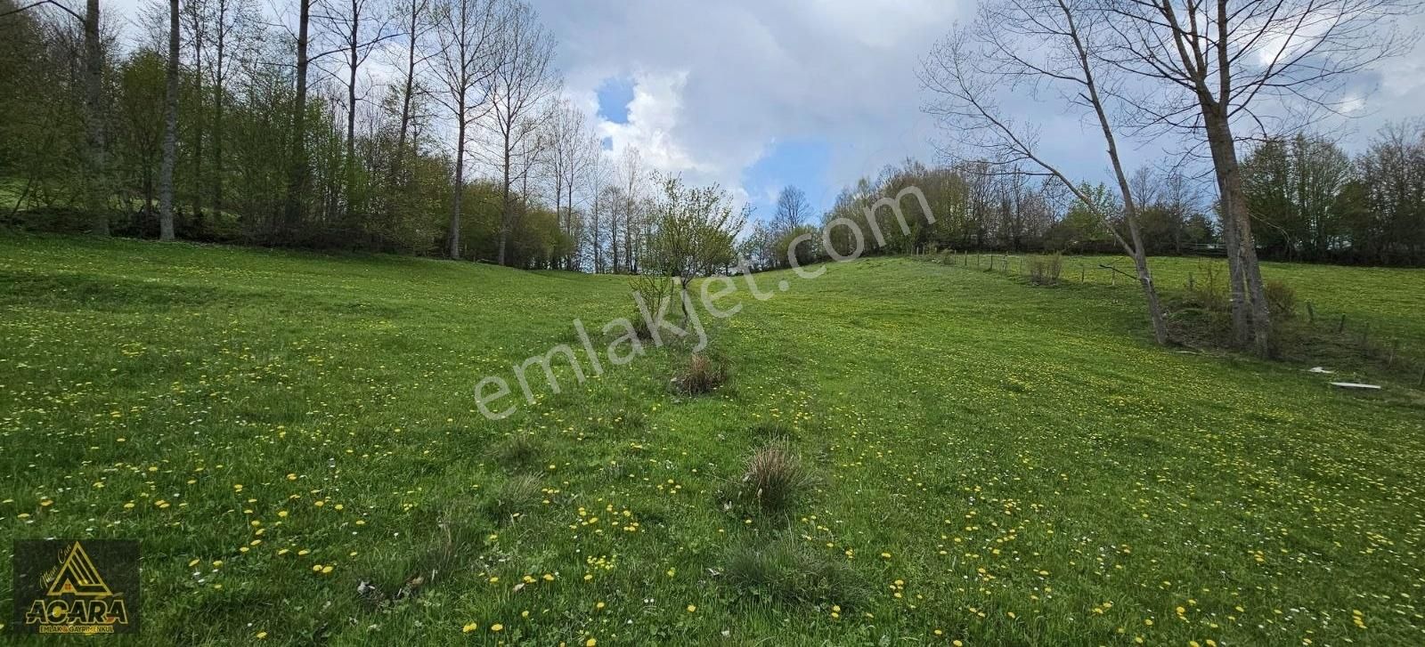 Acara'dan / İznik Elmalı'da 2.140 M² Dere Kenarı Harika Tarla - Görsel 18