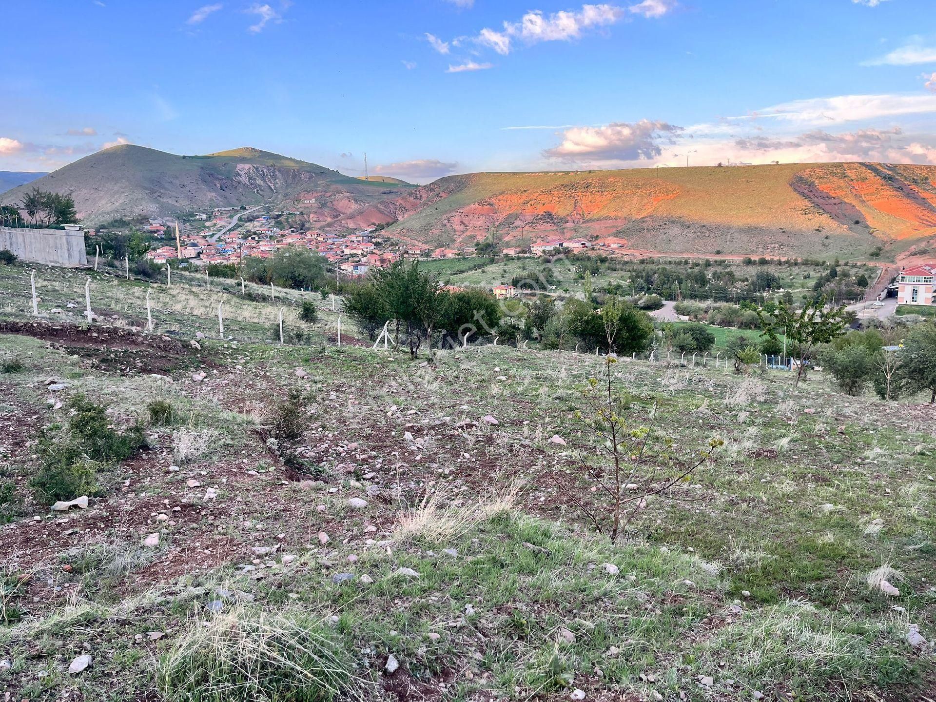 Yatırımlık