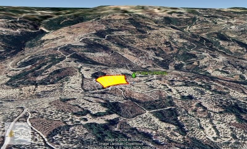 Hatay Yayladağı Kışlak 5.167 M² Zeytinli Tarla