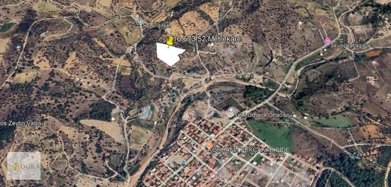 Seferihisar Orhanlı Köyü İçinde 10.673,52 Metrekare Zeytinlik