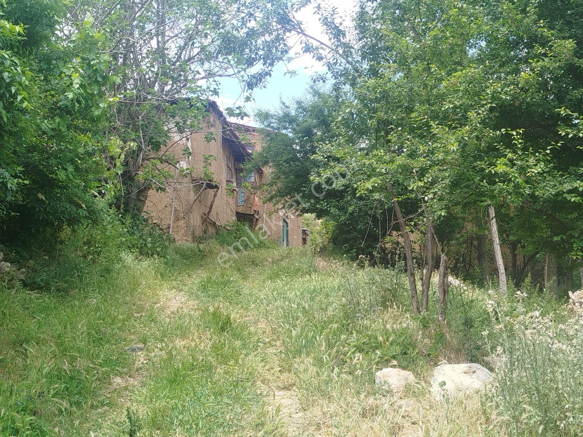 Köy İçi Ev Yapmaya Uygun Arsamız - Görsel 15