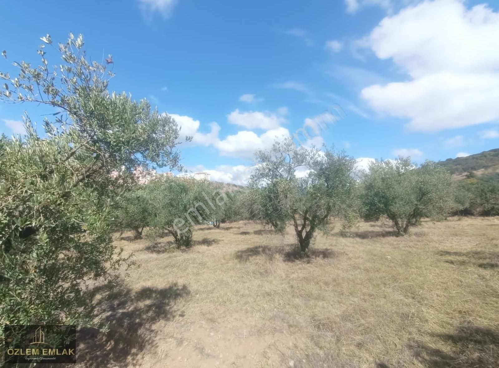 Bandırma Edincik Mahallesi 2492 M2 Yola Bir Parsel Fırsat Arazi - Görsel 12