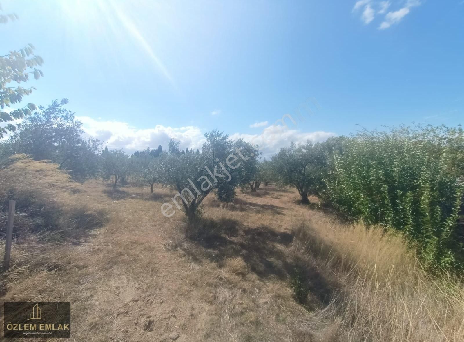 Bandırma Edincik Mahallesi 2492 M2 Yola Bir Parsel Fırsat Arazi - Görsel 15