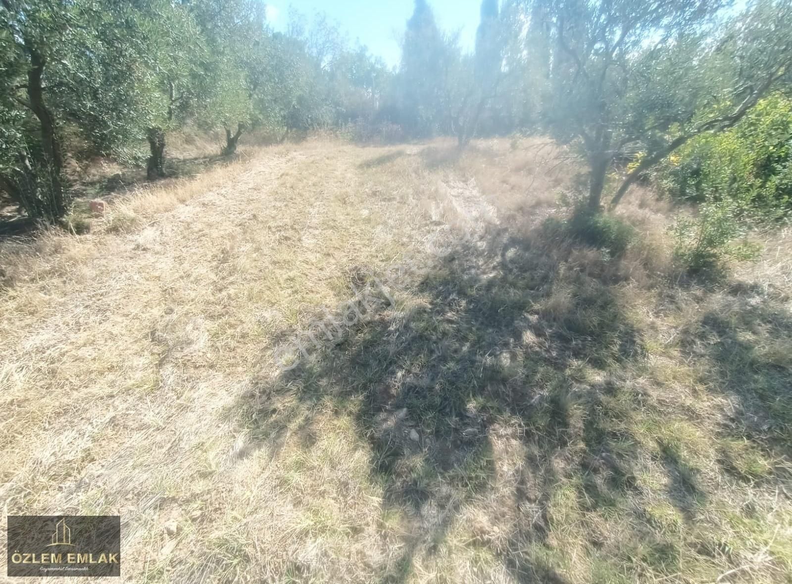 Bandırma Edincik Mahallesi 2492 M2 Yola Bir Parsel Fırsat Arazi - Görsel 4