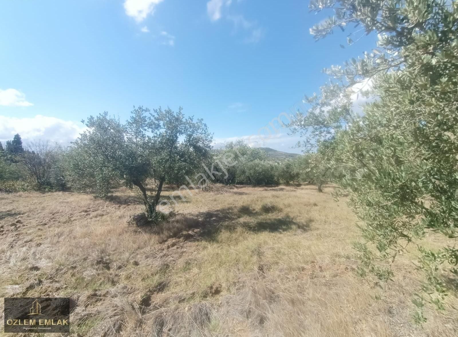 Bandırma Edincik Mahallesi 2492 M2 Yola Bir Parsel Fırsat Arazi - Görsel 16