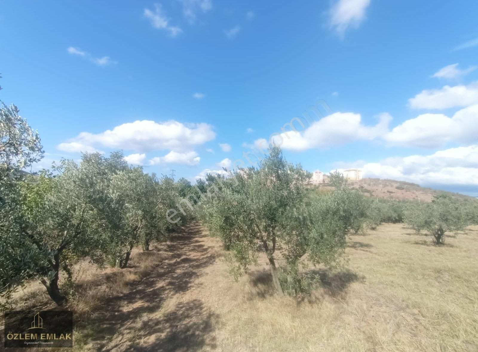 Bandırma Edincik Mahallesi 2492 M2 Yola Bir Parsel Fırsat Arazi - Görsel 9