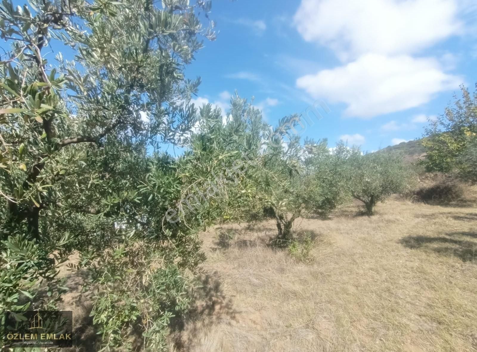 Bandırma Edincik Mahallesi 2492 M2 Yola Bir Parsel Fırsat Arazi - Görsel 7