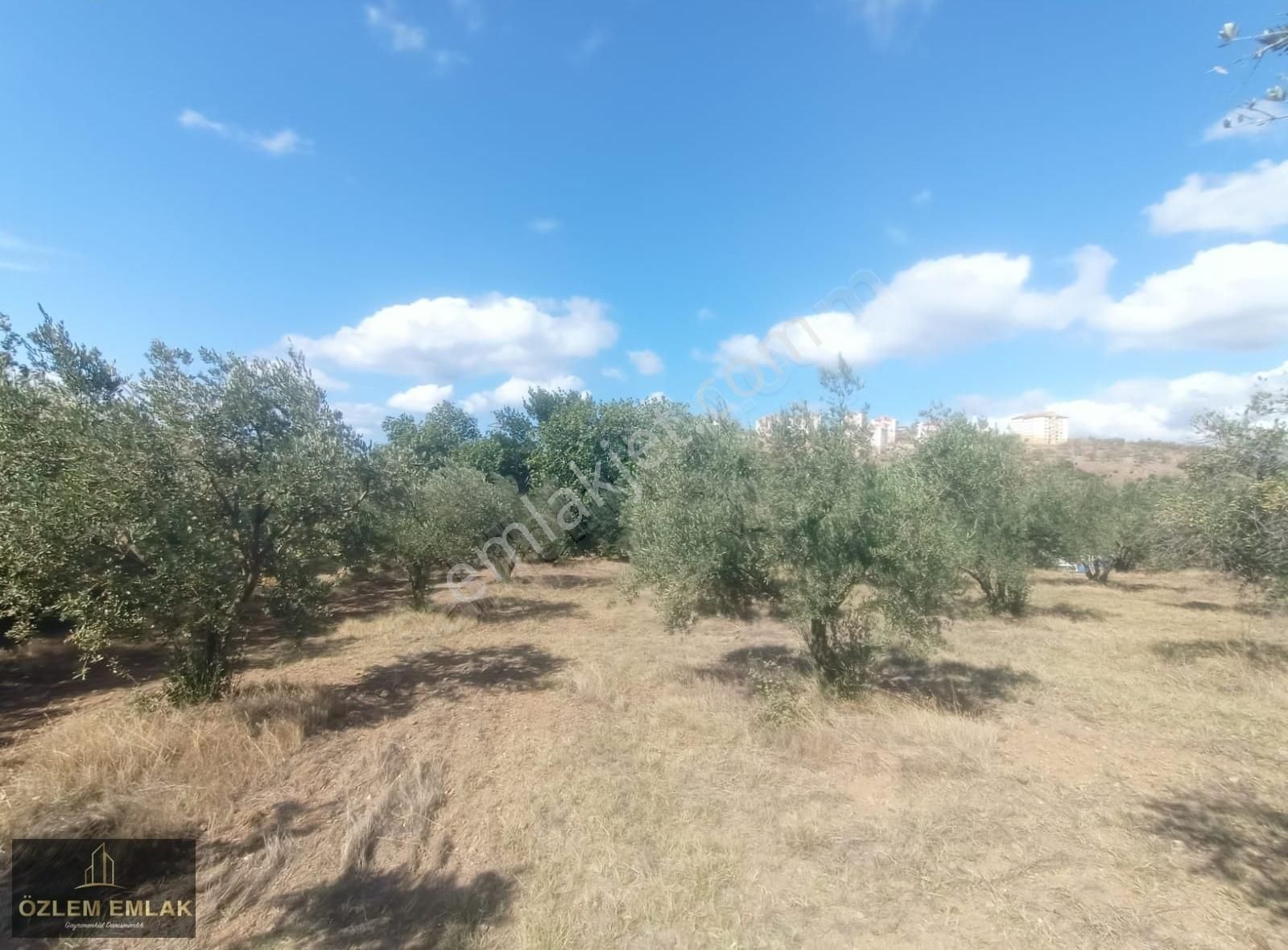 Bandırma Edincik Mahallesi 2492 M2 Yola Bir Parsel Fırsat Arazi - Görsel 18