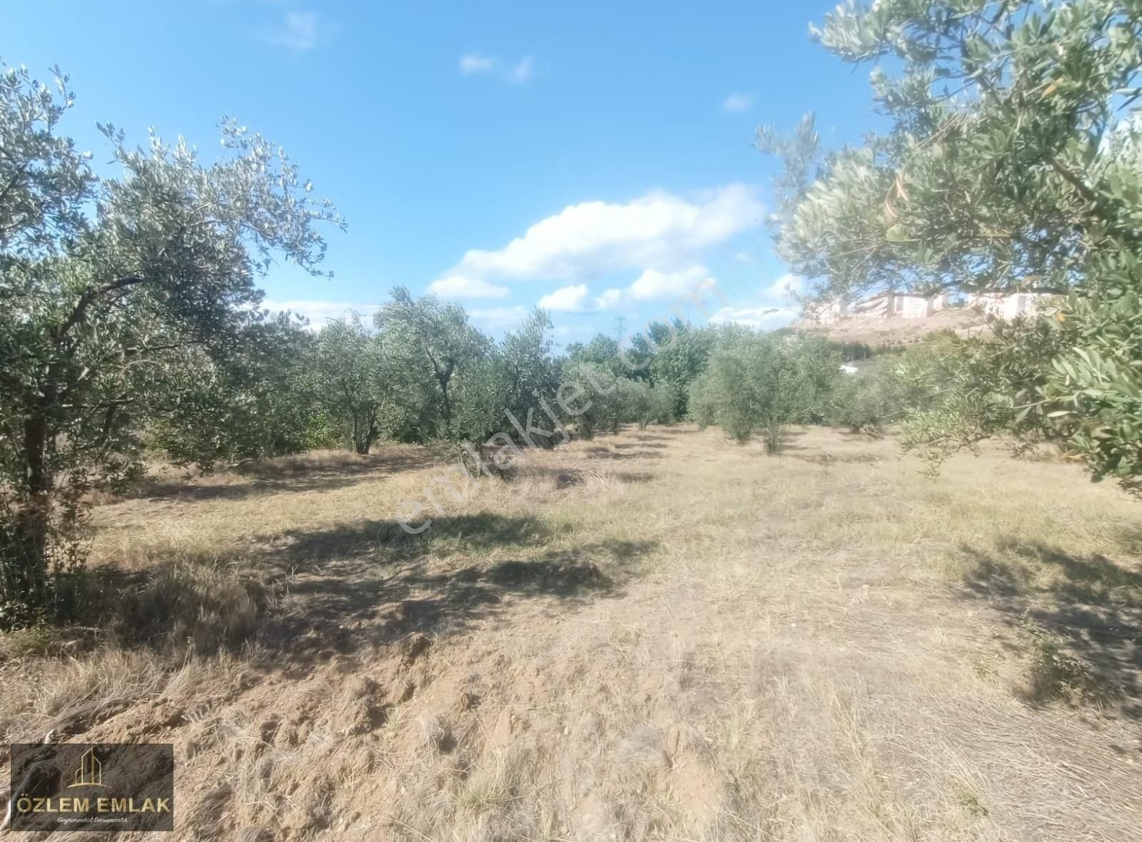 Bandırma Edincik Mahallesi 2492 M2 Yola Bir Parsel Fırsat Arazi - Görsel 2