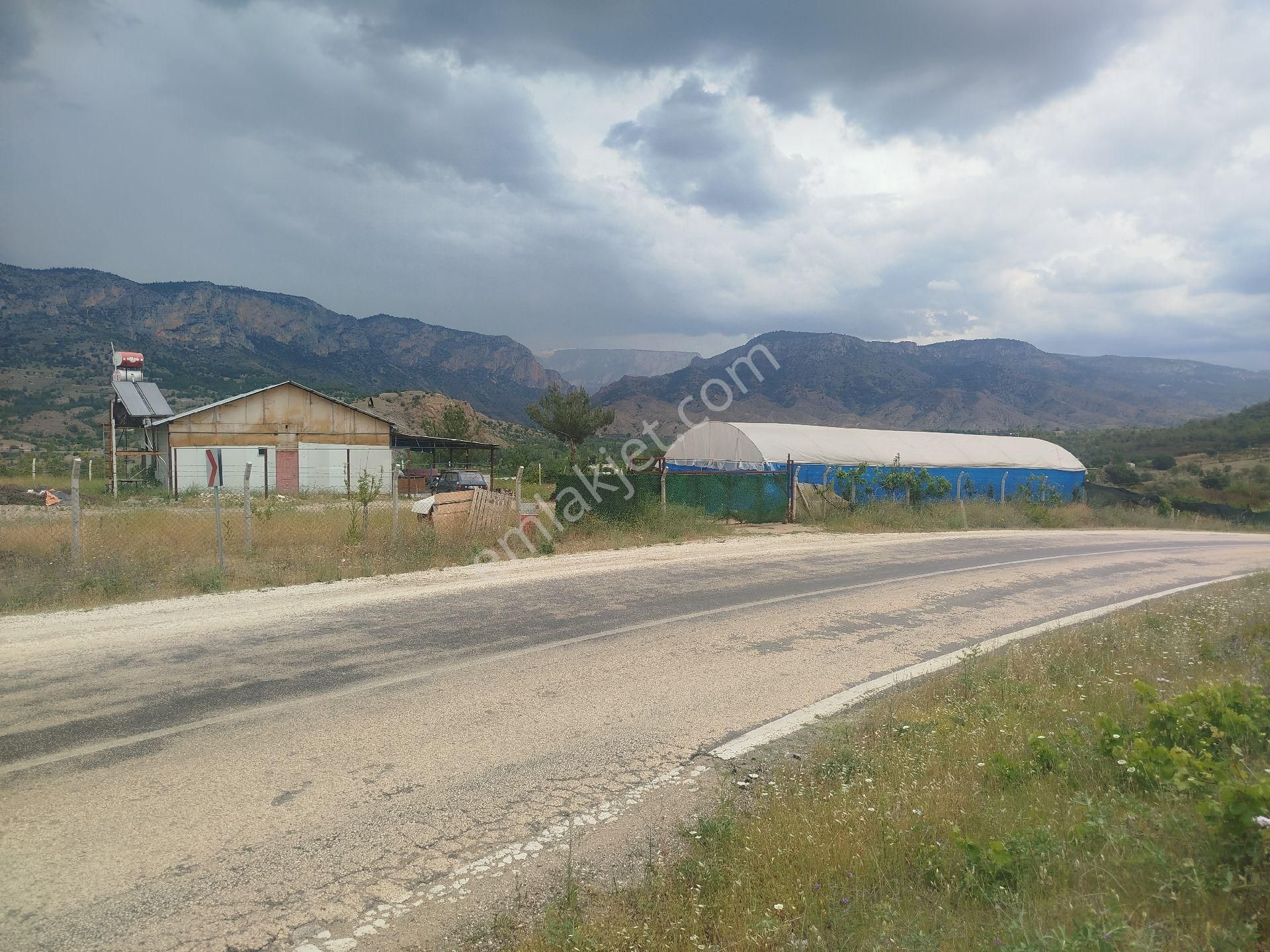 Bilecik Söğüt Yakacık Köyünde Asfalta Cepheli Yatırımlık Yerimiz