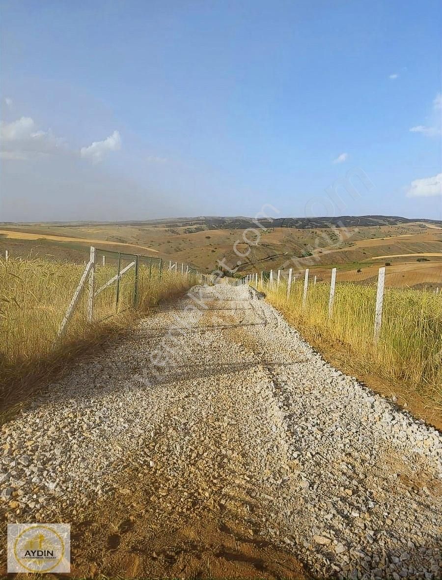 Akyurt Teberik 200 Metre Fırsat Hobi Bahçeleri