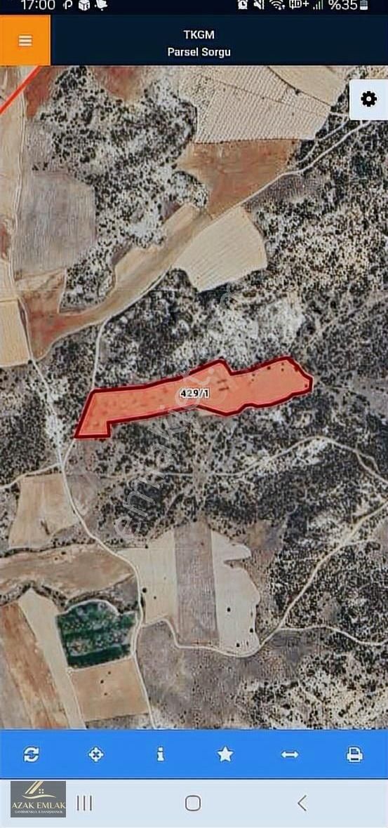 İhsaniye Kayıhan Pınarda 21.851m2 Fırsat Yatırımlık Tarla