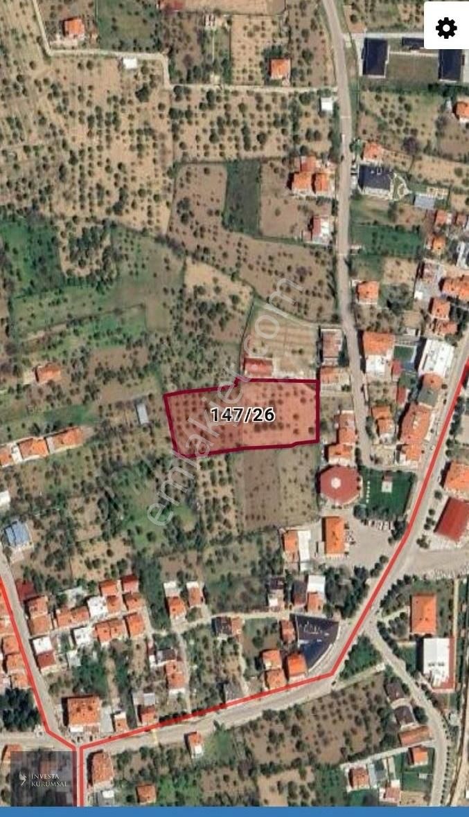İnvesta'dan Afyon/erkmen' De Satılık Meyve Bahçesi