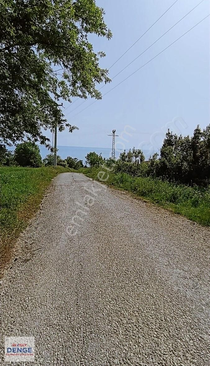 Gerze Belören Köyünde Denize Yürüme Mesafesinde 280mt² Arsa !!