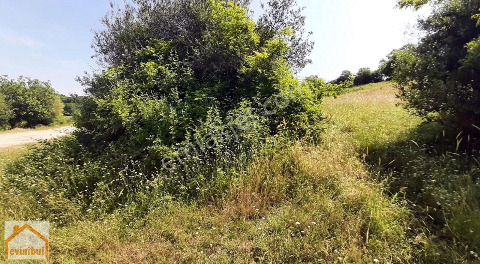 Dereköy Köy Yoluna Cephe Harika Konum Satılık Arazi