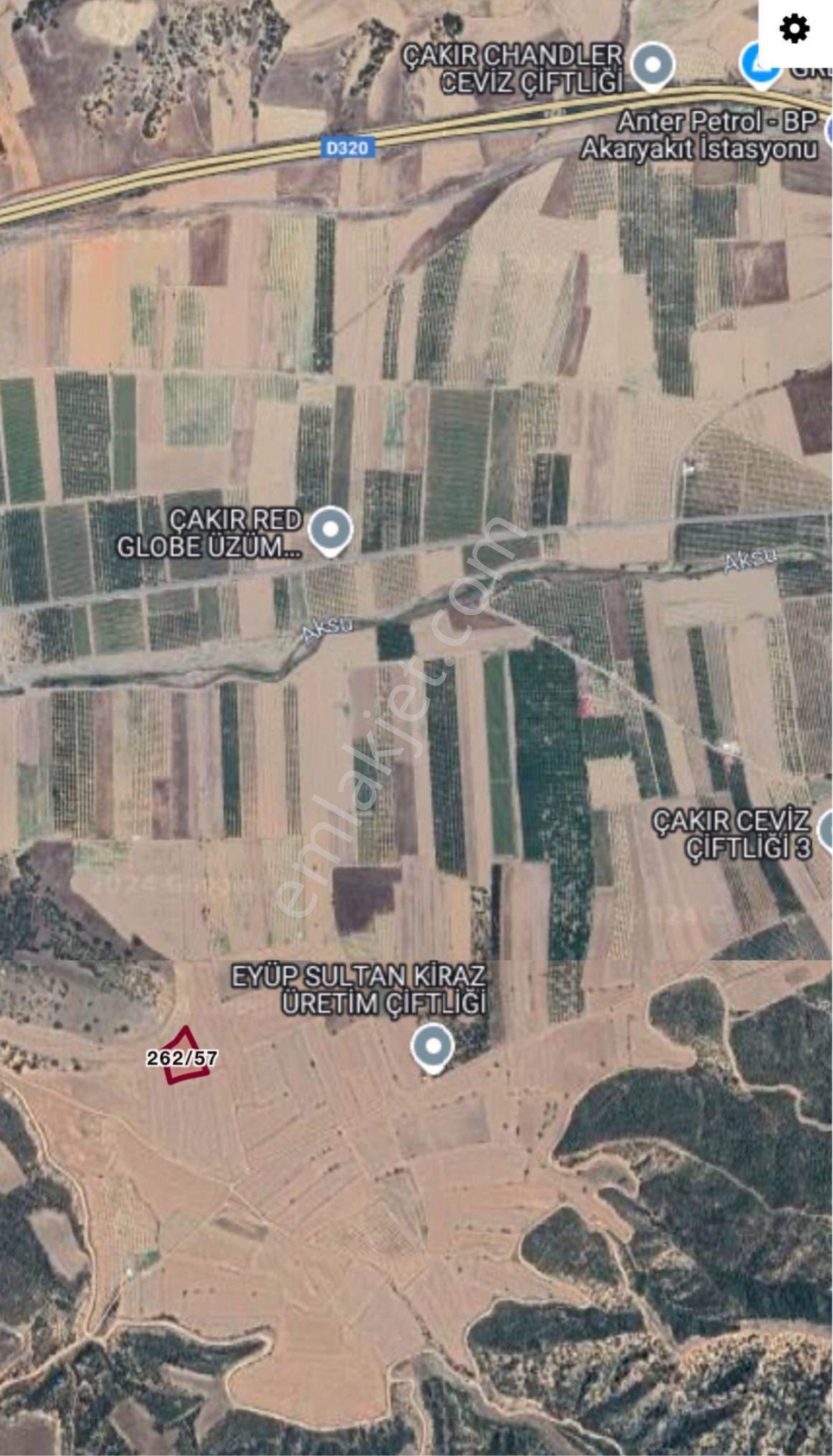 Denizli Alikurtta Satılık Ceviz Bahçesi - Görsel 3