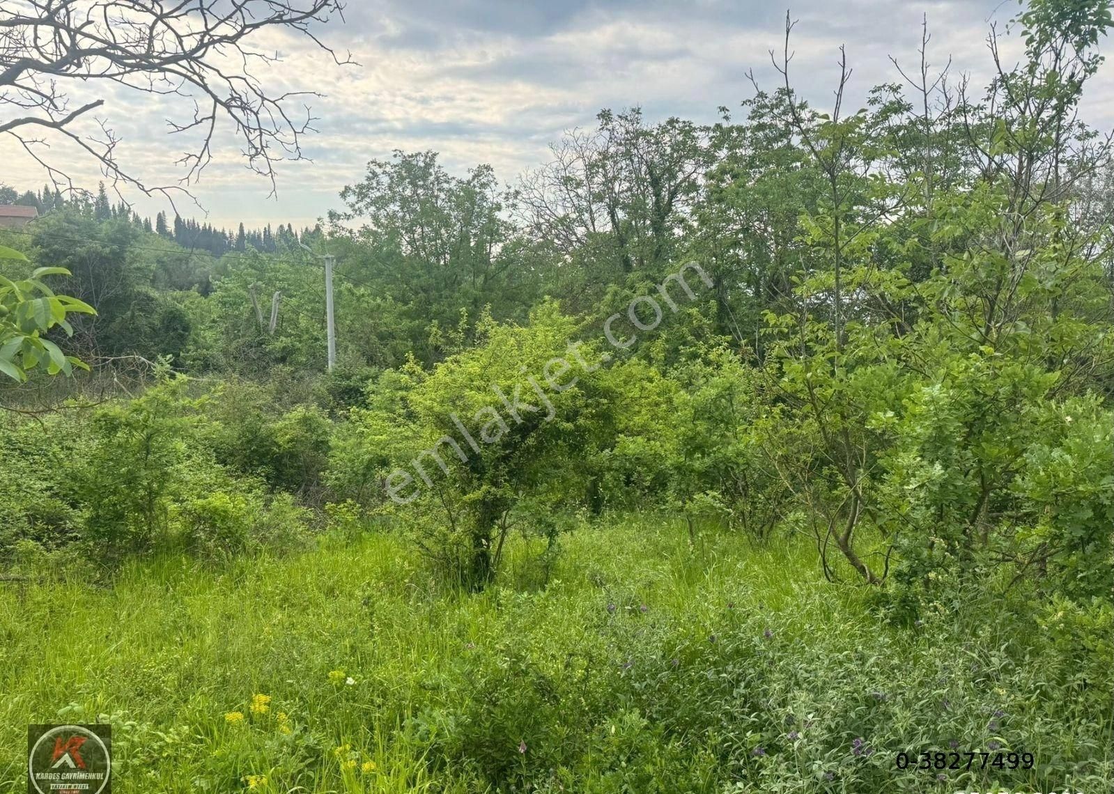 Kardeş Gayrimenkul 'den Pazarköy Mahallesinde Deniz - Doğa Manzaralı Satılık İmarlı Arsa