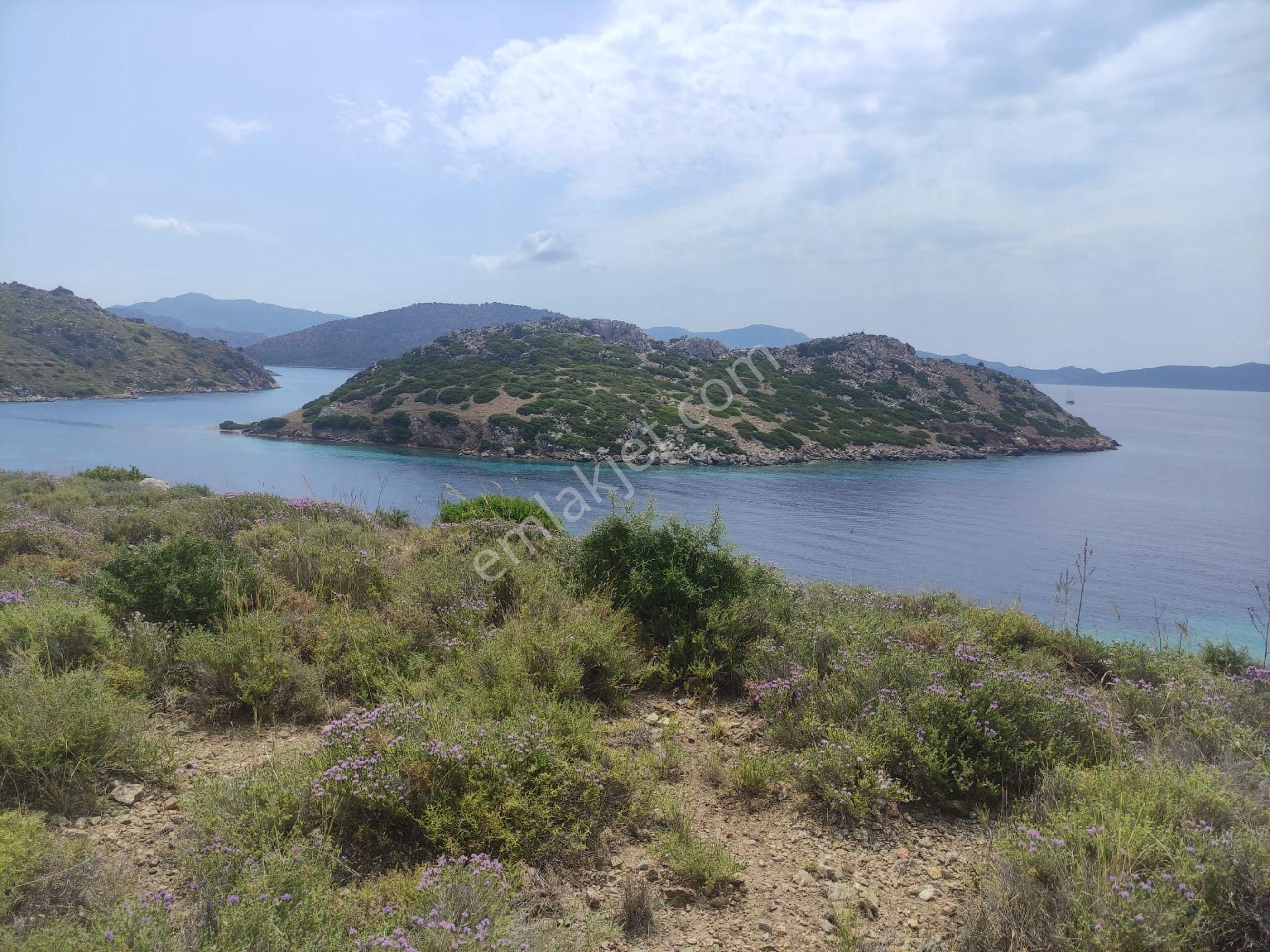 Ebrar&can'dan Nergiz De Full Deniz Manzaralı 341 Metrekare - Görsel 2