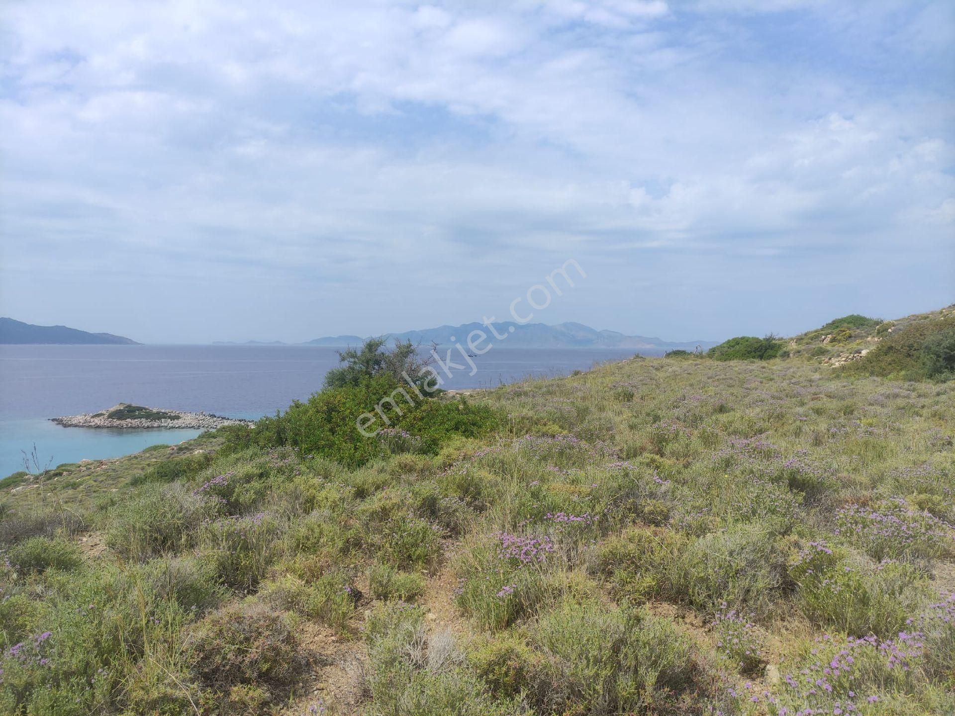 Ebrar&can'dan Nergiz De Full Deniz Manzaralı 341 Metrekare - Görsel 5