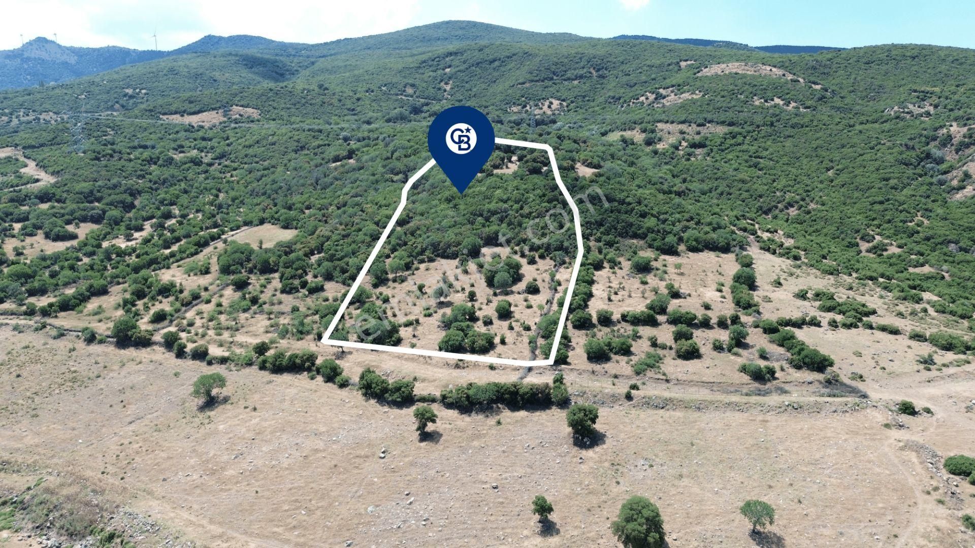 Aliağa Çıtak'ta (8487 M2) Satılık Tarla