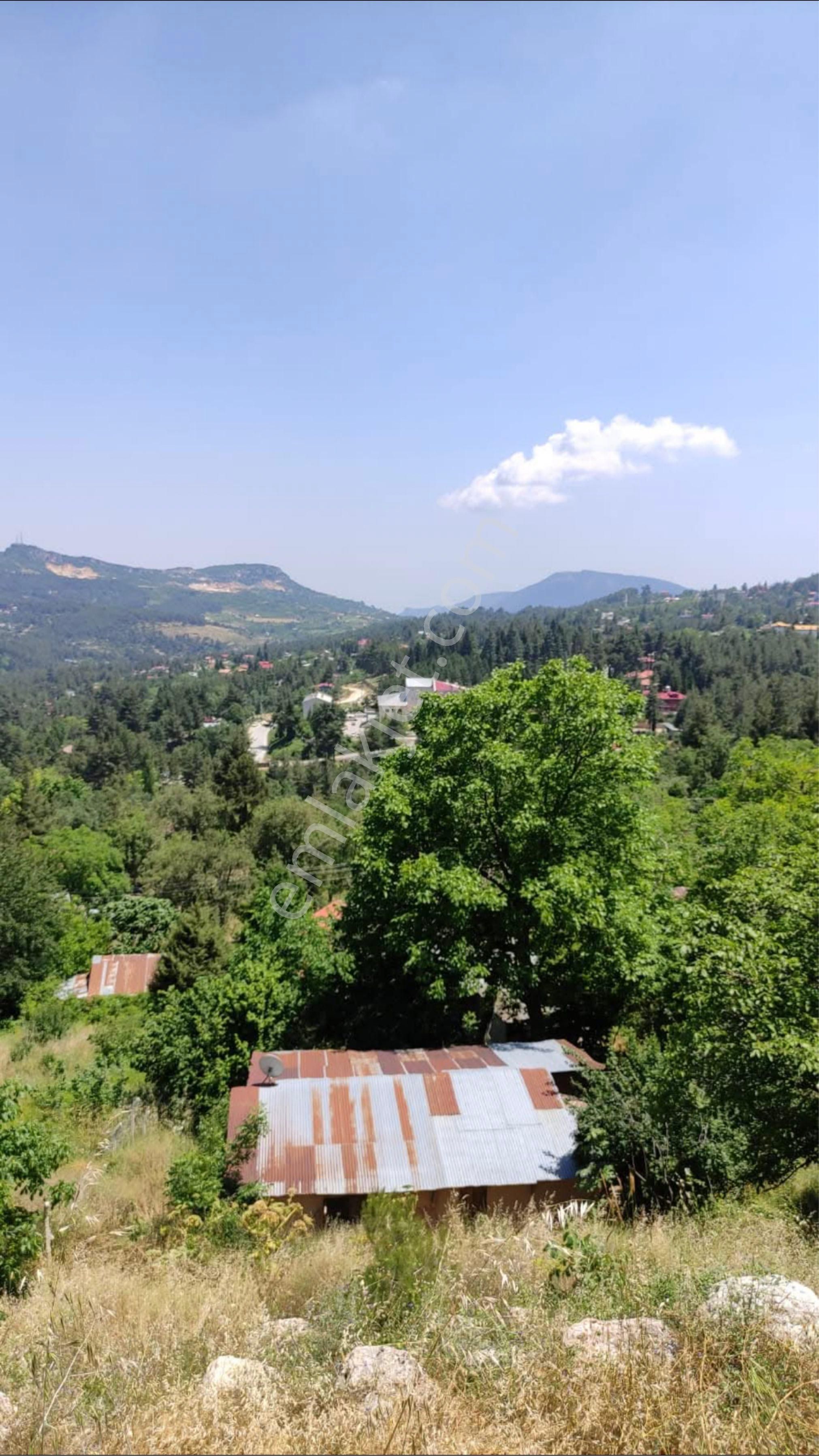 Çamlıyaylada 600 M2 Arsa