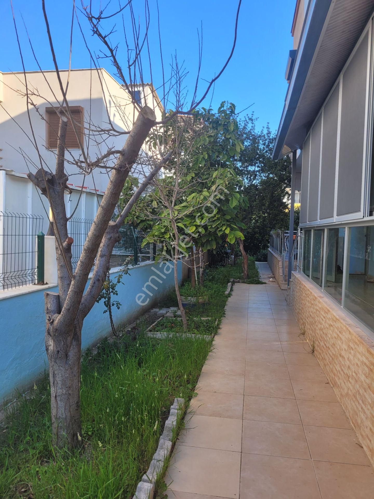 Doğanbey'de Denize 7 Dk Yürüyüş Mesafesinde 3+1 Bakımlı Villa - Görsel 8